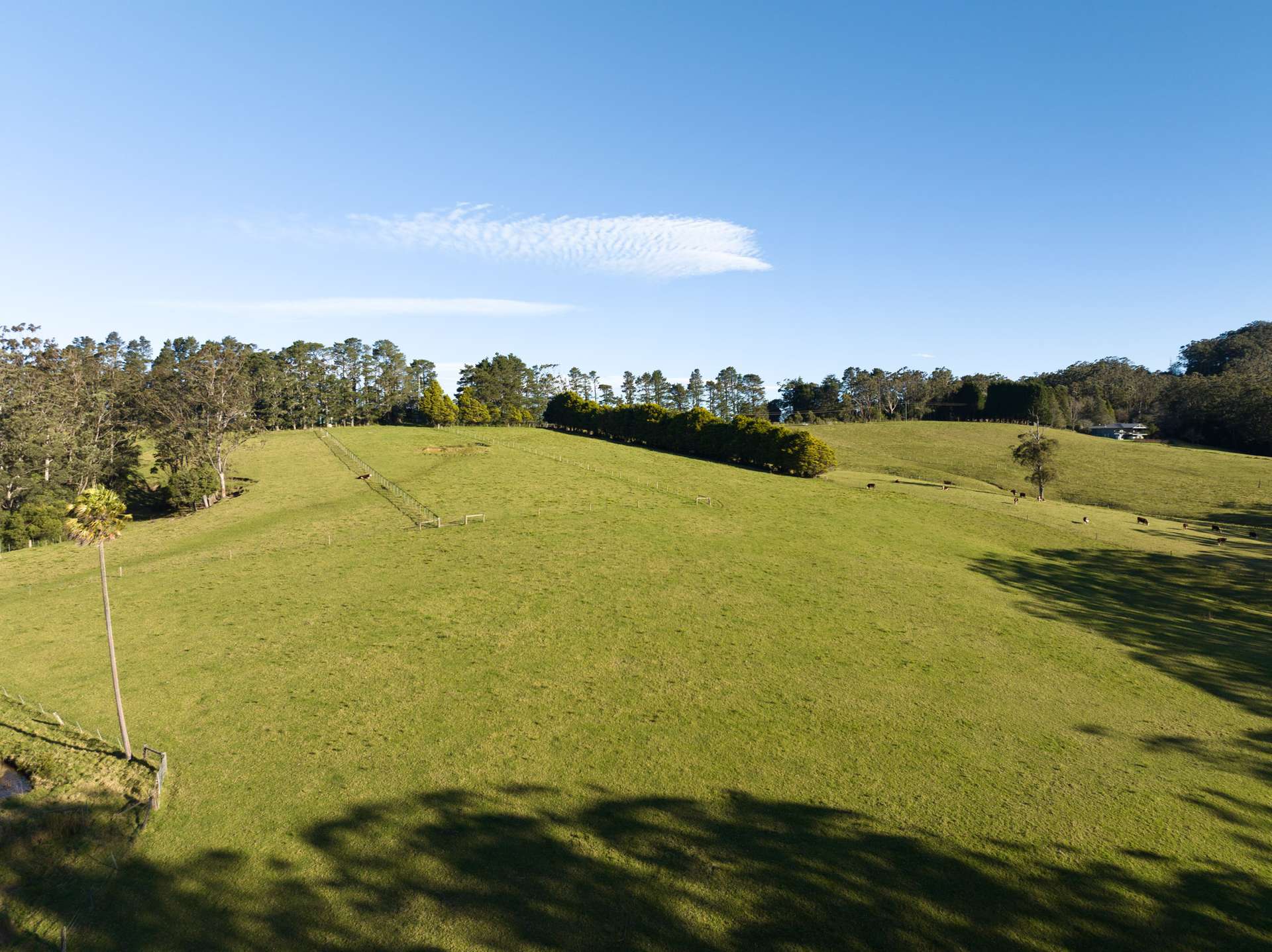 205 Tourist Road, Beaumont For Sale by Farmbuy.com - image 9