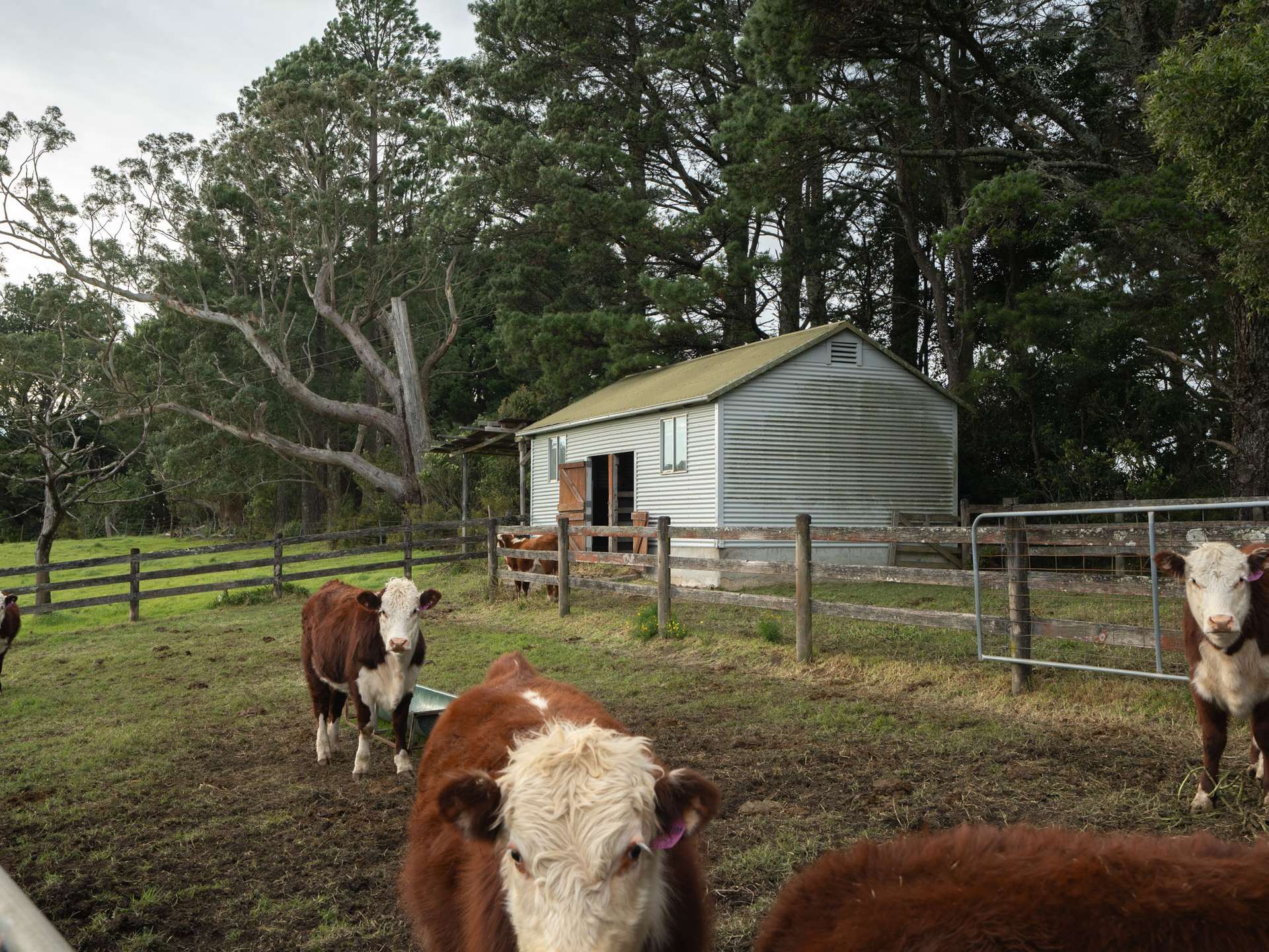 205 Tourist Road, Beaumont For Sale by Farmbuy.com - image 29