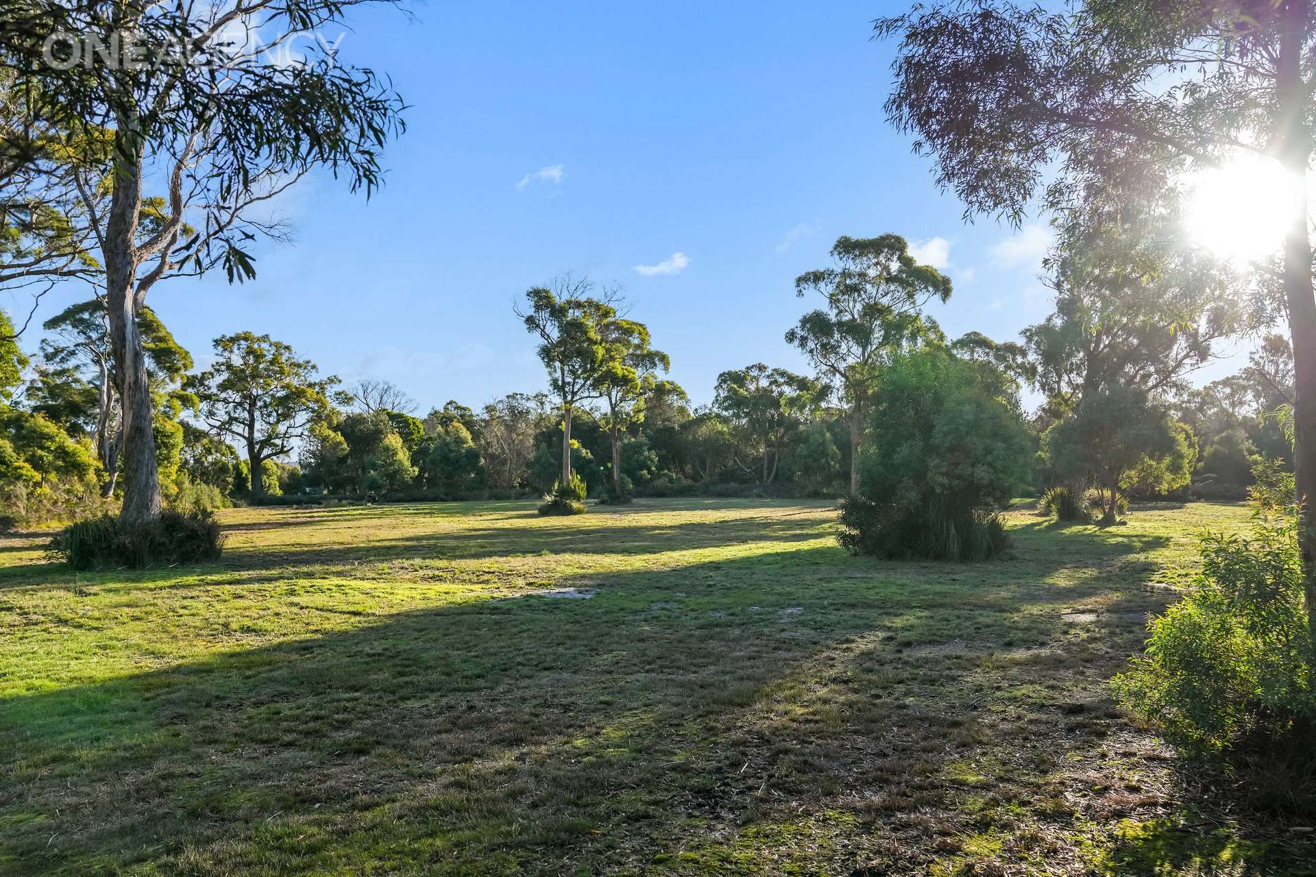 6 Neville Drive, Bridport For Sale by Farmbuy.com - image 33