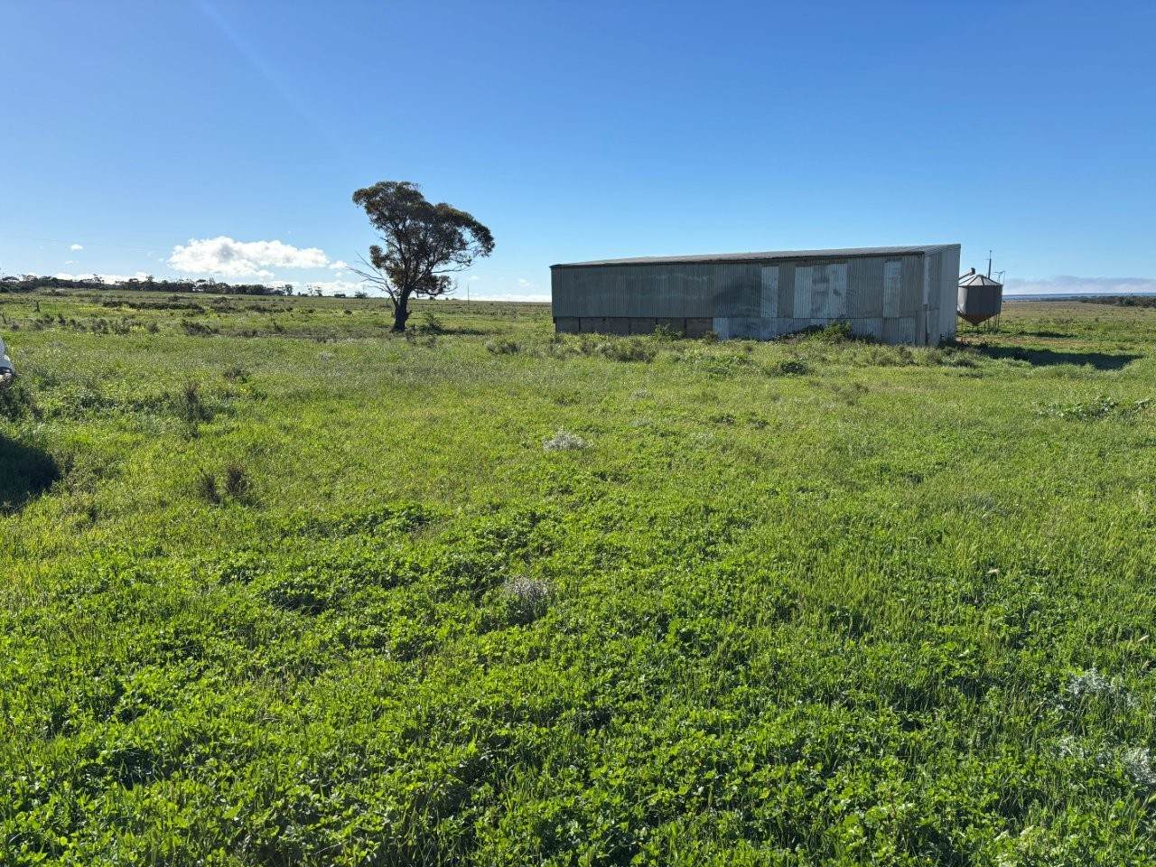 Lot 16 Wildman Road, Cowell For Sale by Farmbuy.com - image 10