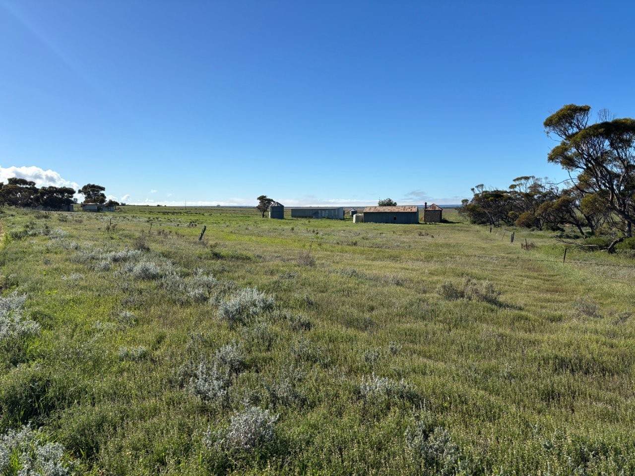 Lot 97 Wildman Road, Cowell For Sale by Farmbuy.com - image 5