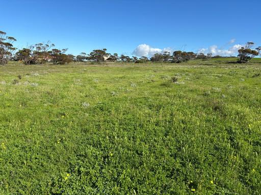 Lot 97 Wildman Road, Cowell SA 5602