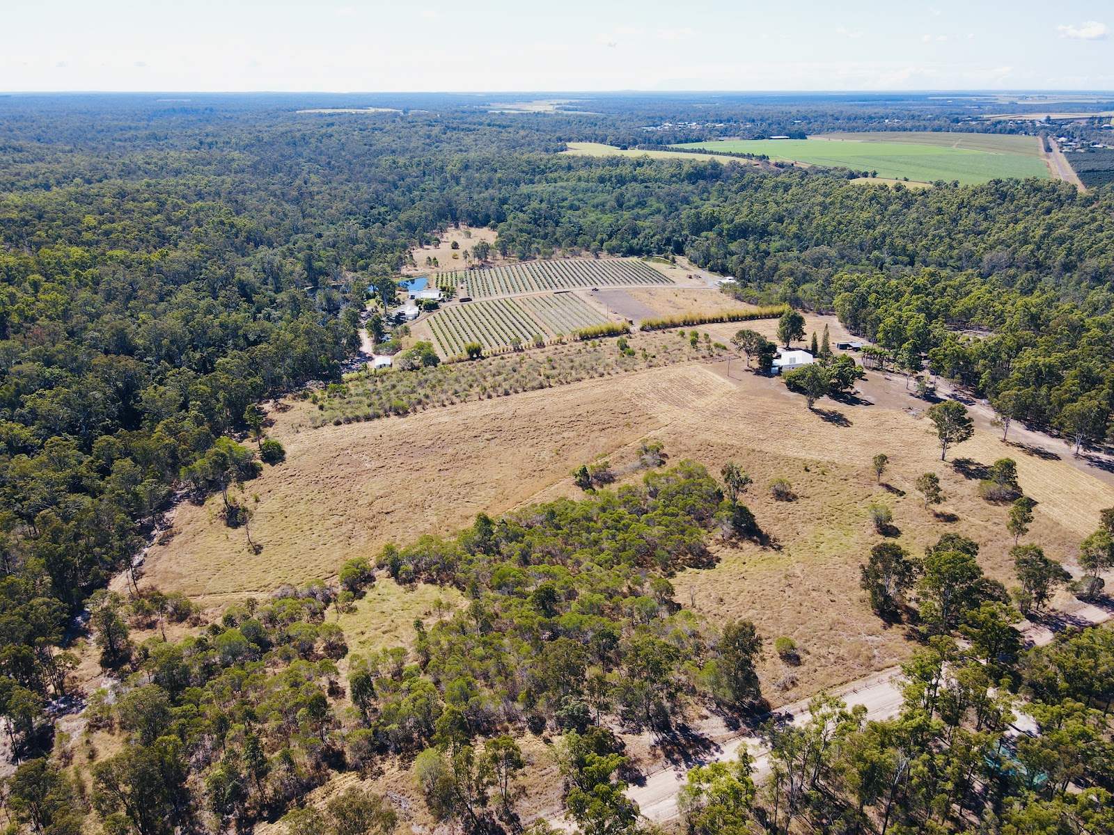230 Hodges Road, Cordalba For Sale by Farmbuy.com - image 34