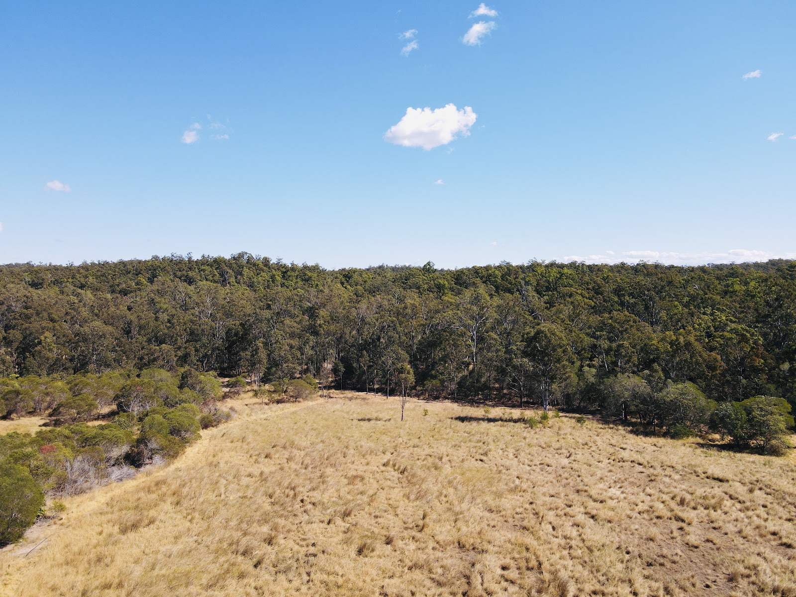 230 Hodges Road, Cordalba For Sale by Farmbuy.com - image 14