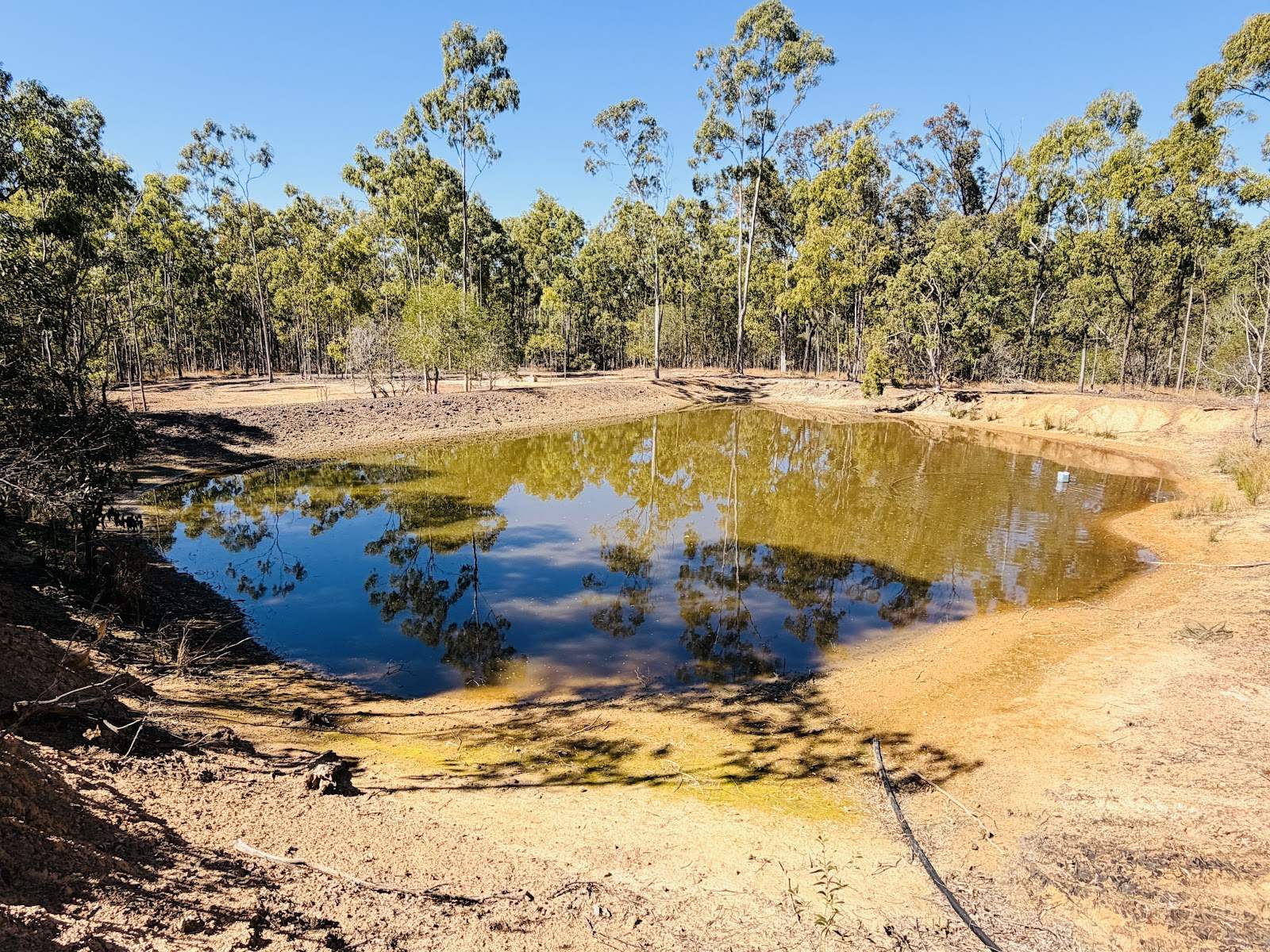 230 Hodges Road, Cordalba For Sale by Farmbuy.com - image 24