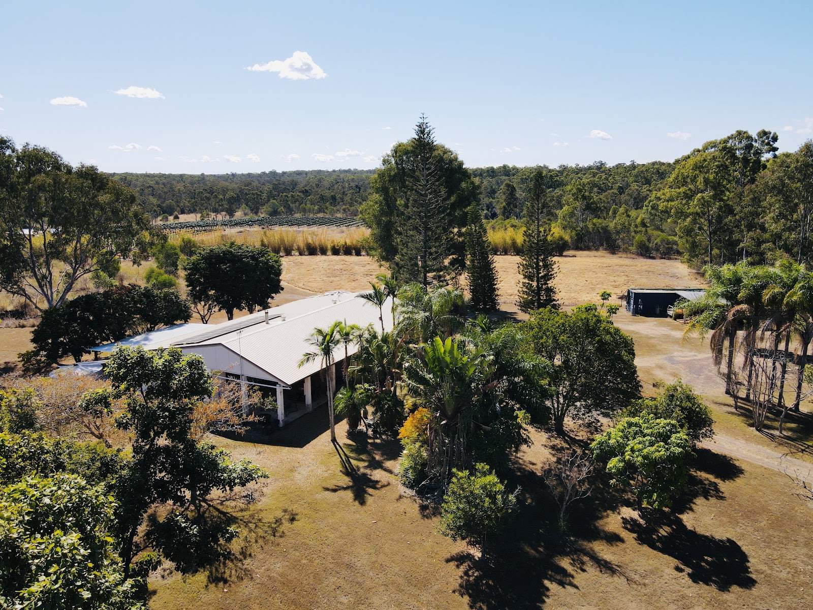 230 Hodges Road, Cordalba For Sale by Farmbuy.com - image 2