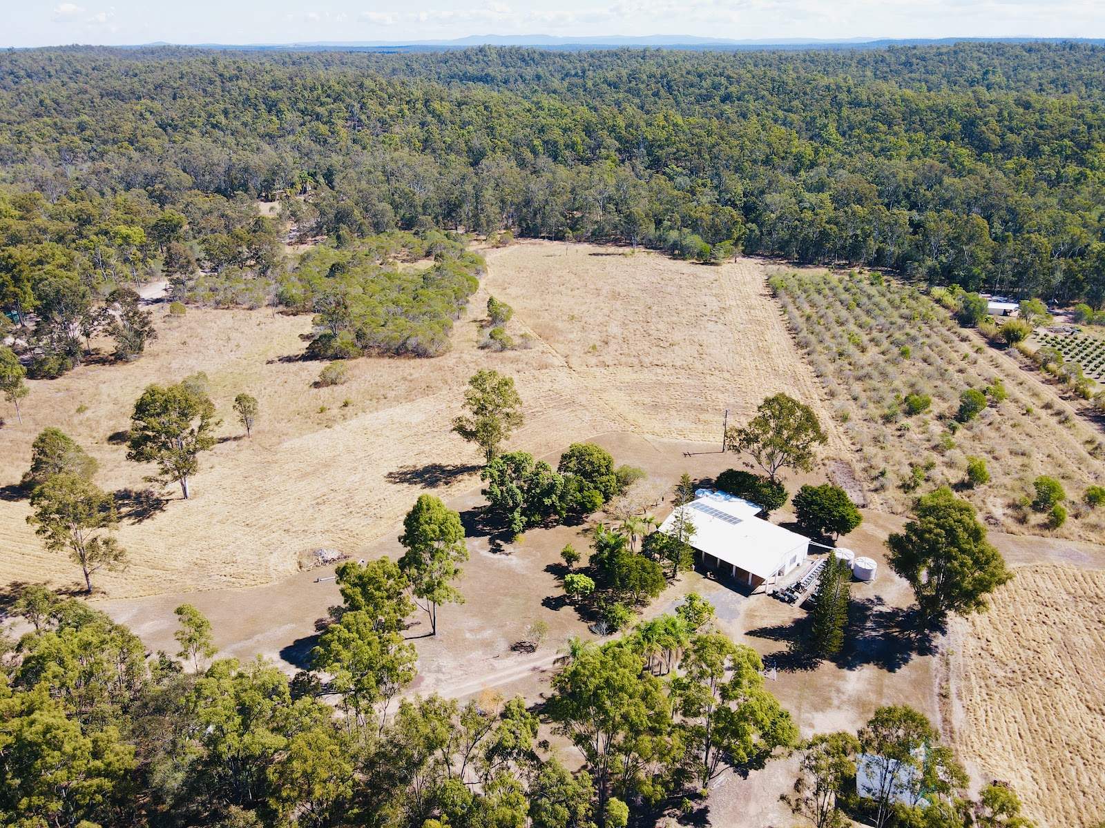 230 Hodges Road, Cordalba For Sale by Farmbuy.com - image 30