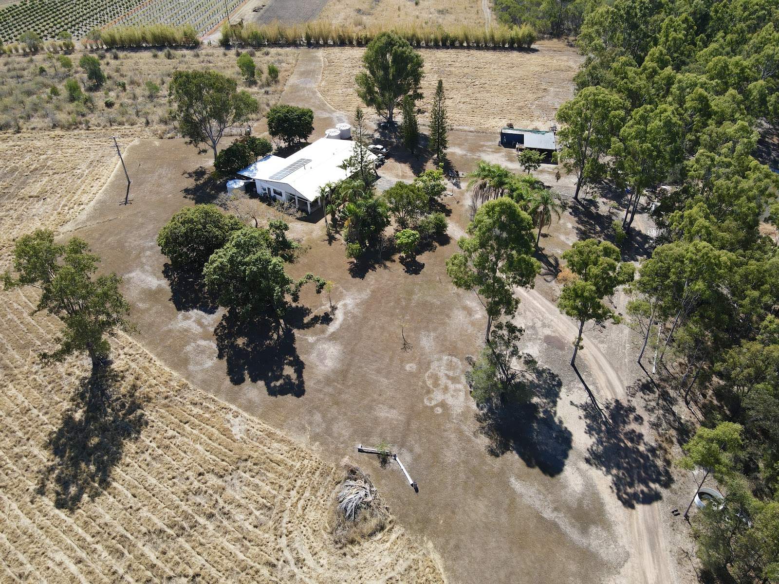 230 Hodges Road, Cordalba For Sale by Farmbuy.com - image 29