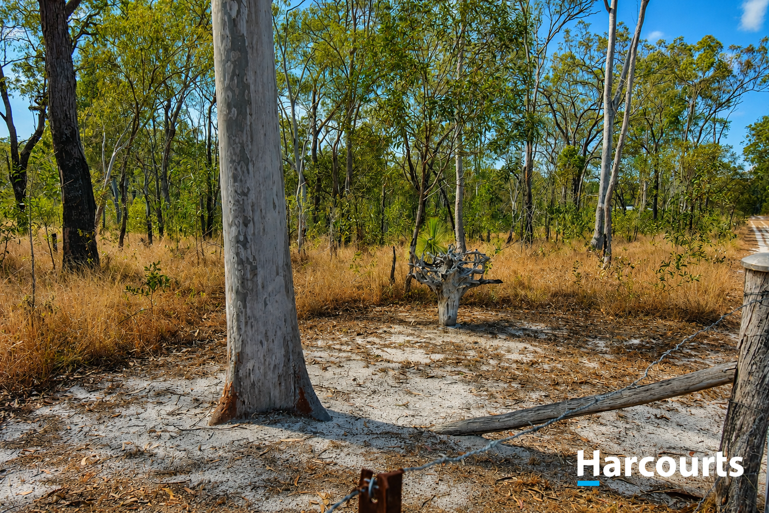 6037 Isis Highway, Kullogum For Sale by Farmbuy.com - image 4