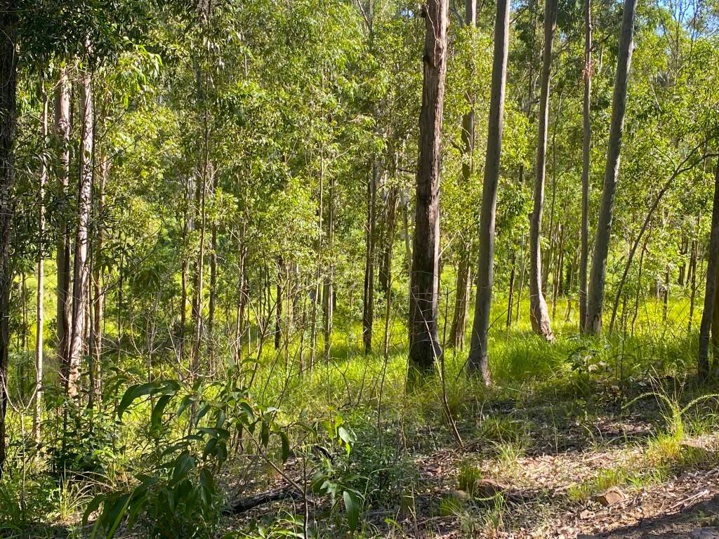621 Babyl Creek Road, Kyogle For Sale by Farmbuy.com - image 18