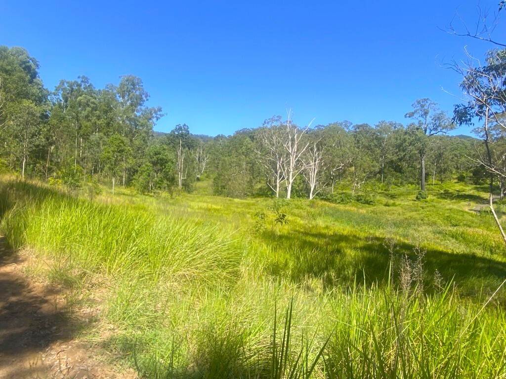 621 Babyl Creek Road, Kyogle For Sale by Farmbuy.com - image 16
