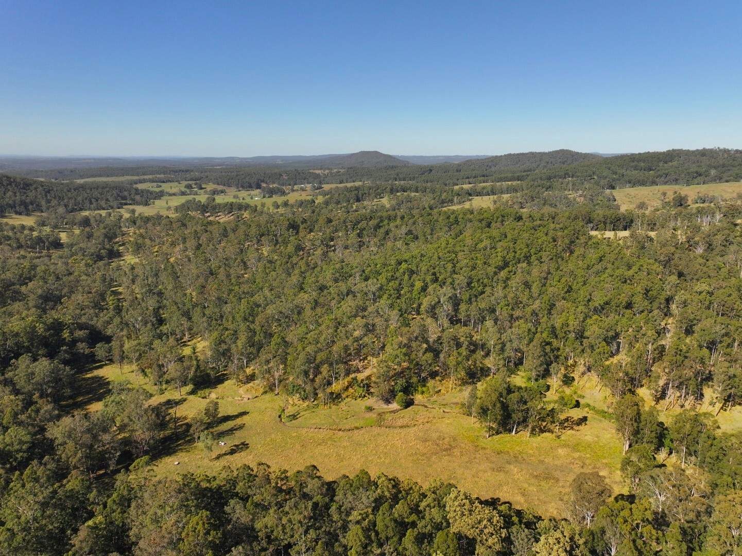 621 Babyl Creek Road, Kyogle For Sale by Farmbuy.com - image 13