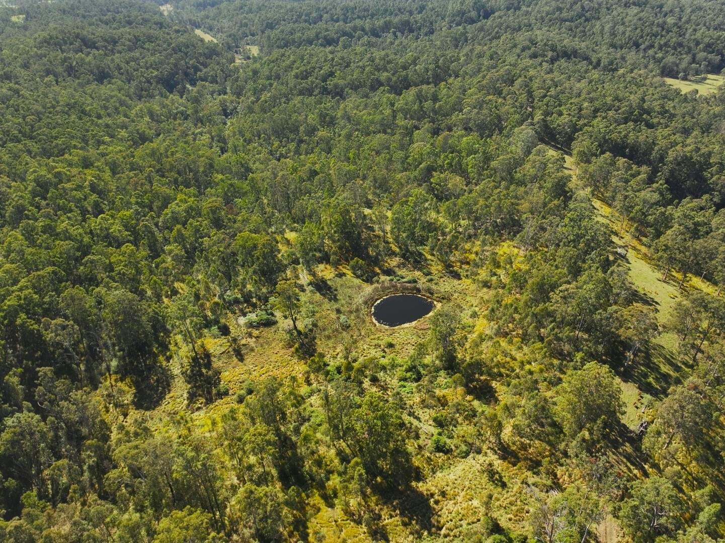 621 Babyl Creek Road, Kyogle For Sale by Farmbuy.com - image 21