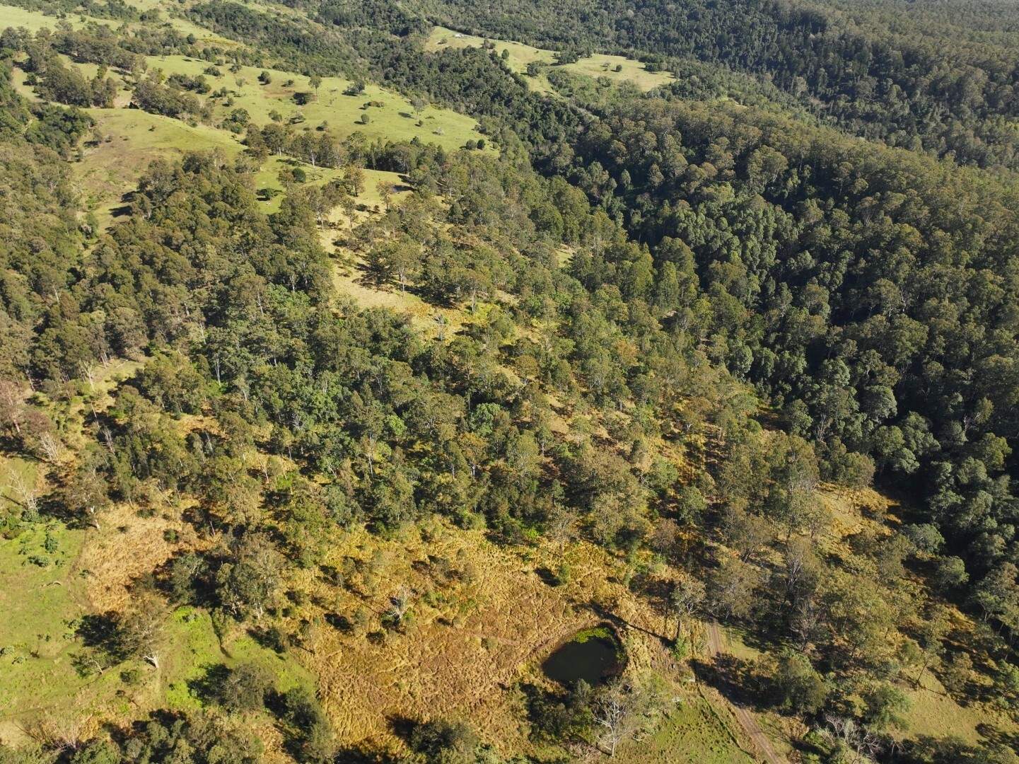 621 Babyl Creek Road, Kyogle For Sale by Farmbuy.com - image 10