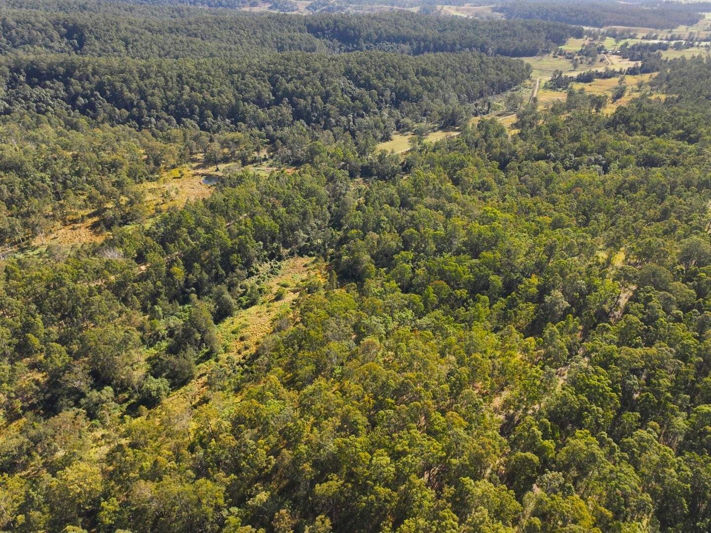 621 Babyl Creek Road, Kyogle For Sale by Farmbuy.com - image 8