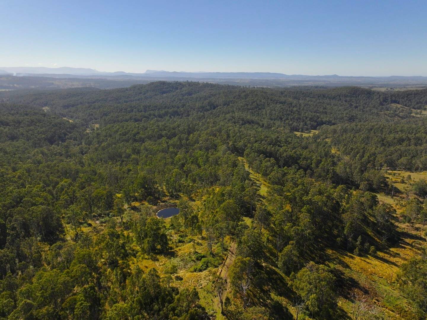 621 Babyl Creek Road, Kyogle For Sale by Farmbuy.com - image 5