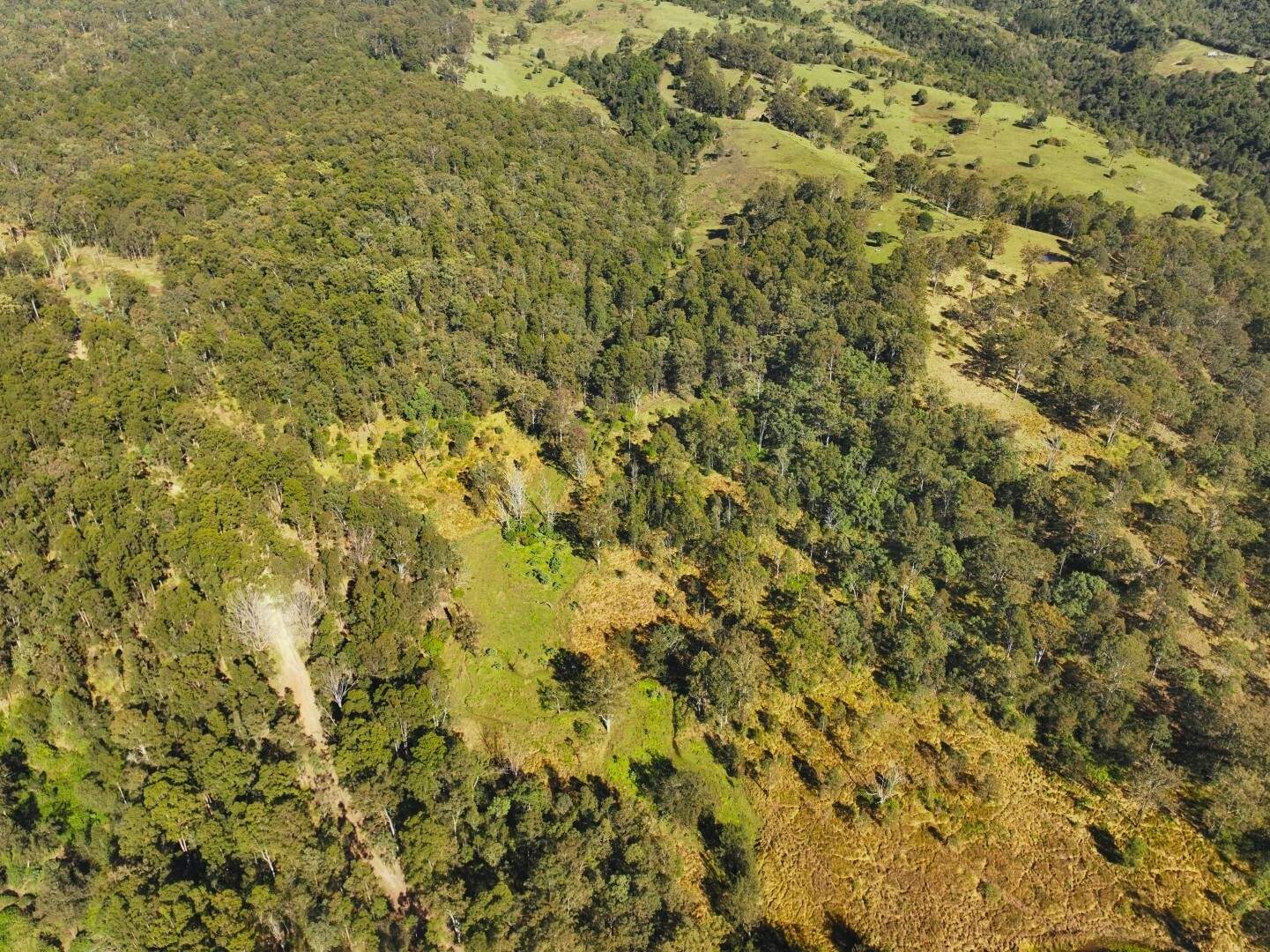 621 Babyl Creek Road, Kyogle For Sale by Farmbuy.com - image 11