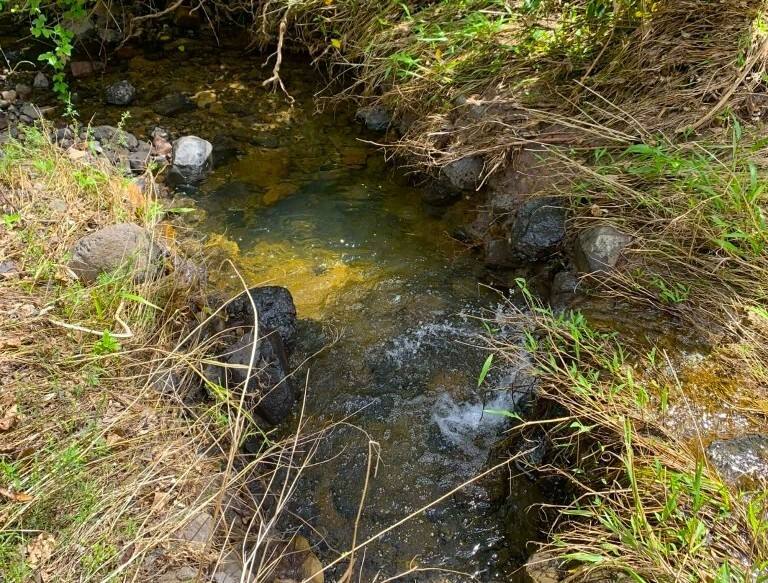 621 Babyl Creek Road, Kyogle For Sale by Farmbuy.com - image 2
