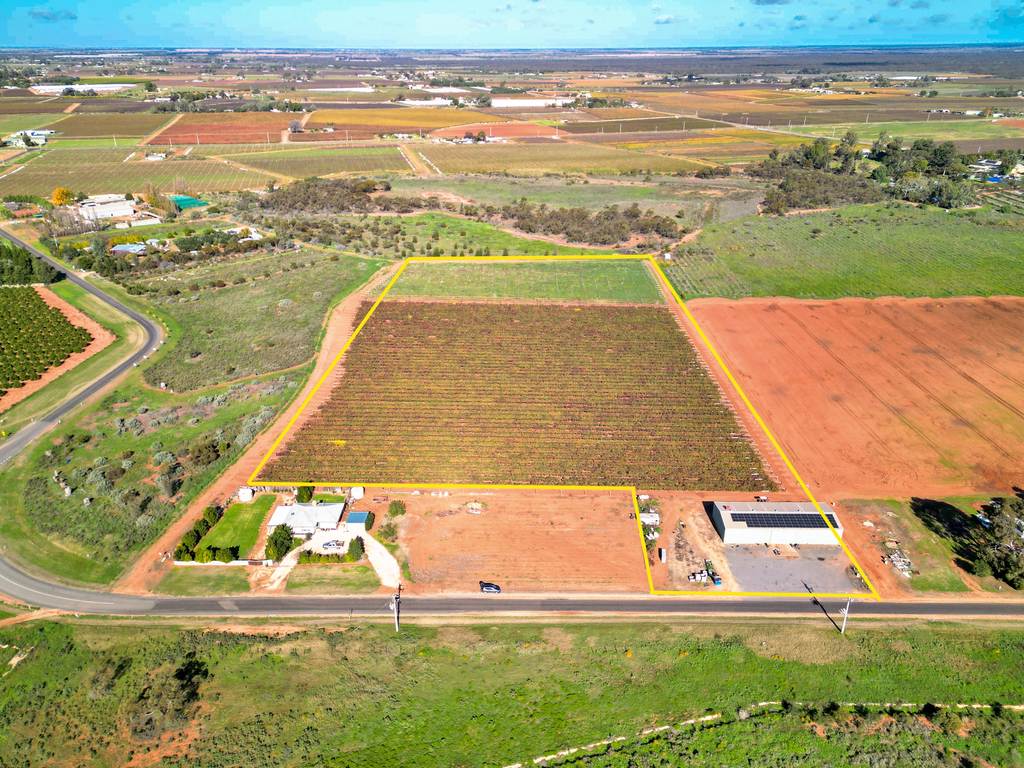 343 Pawson Avenue, Cardross VIC 3496