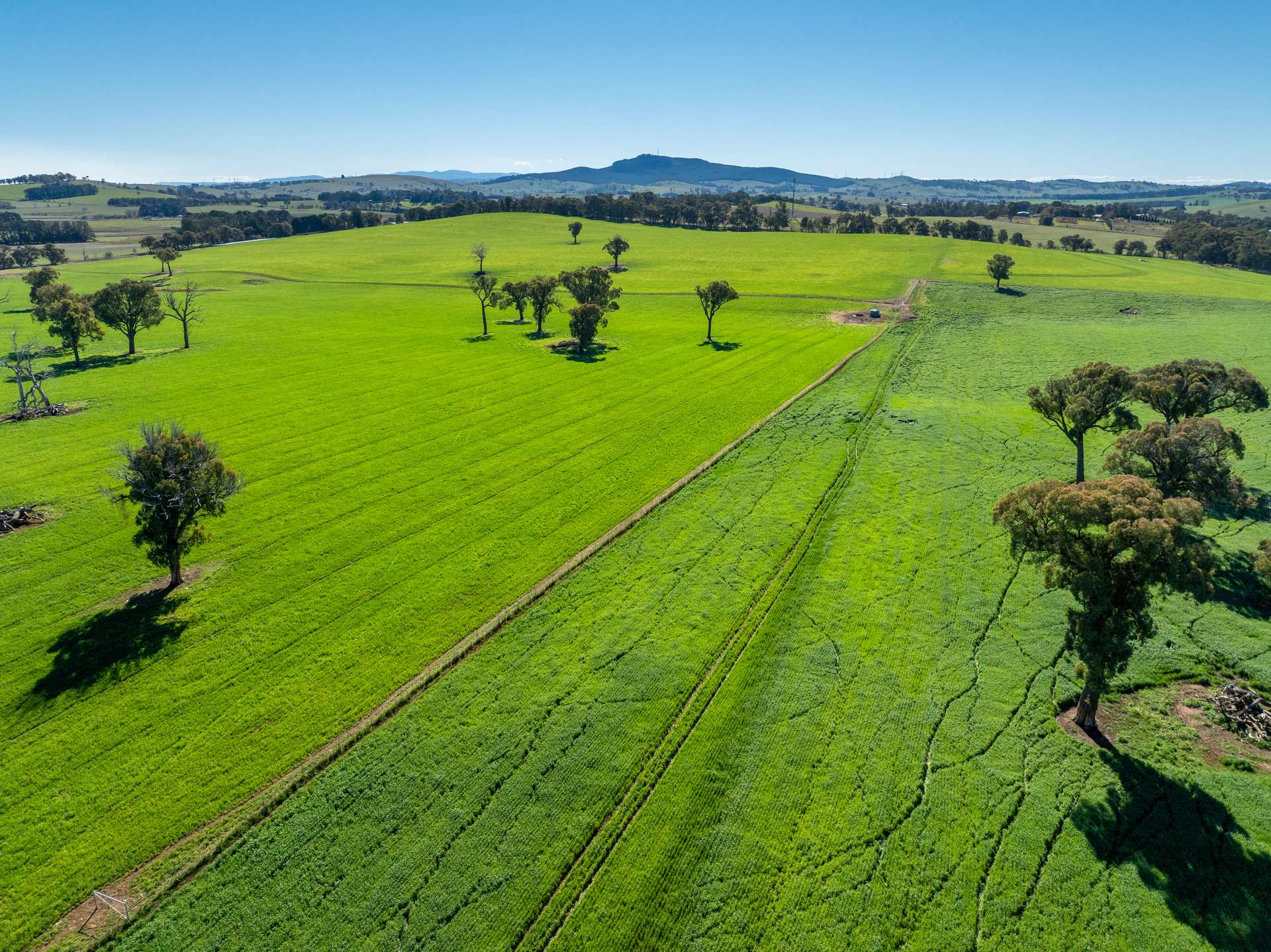 'Blairgowrie' 90 Sunset Hills Road, Neville Auction by Farmbuy.com - image 22