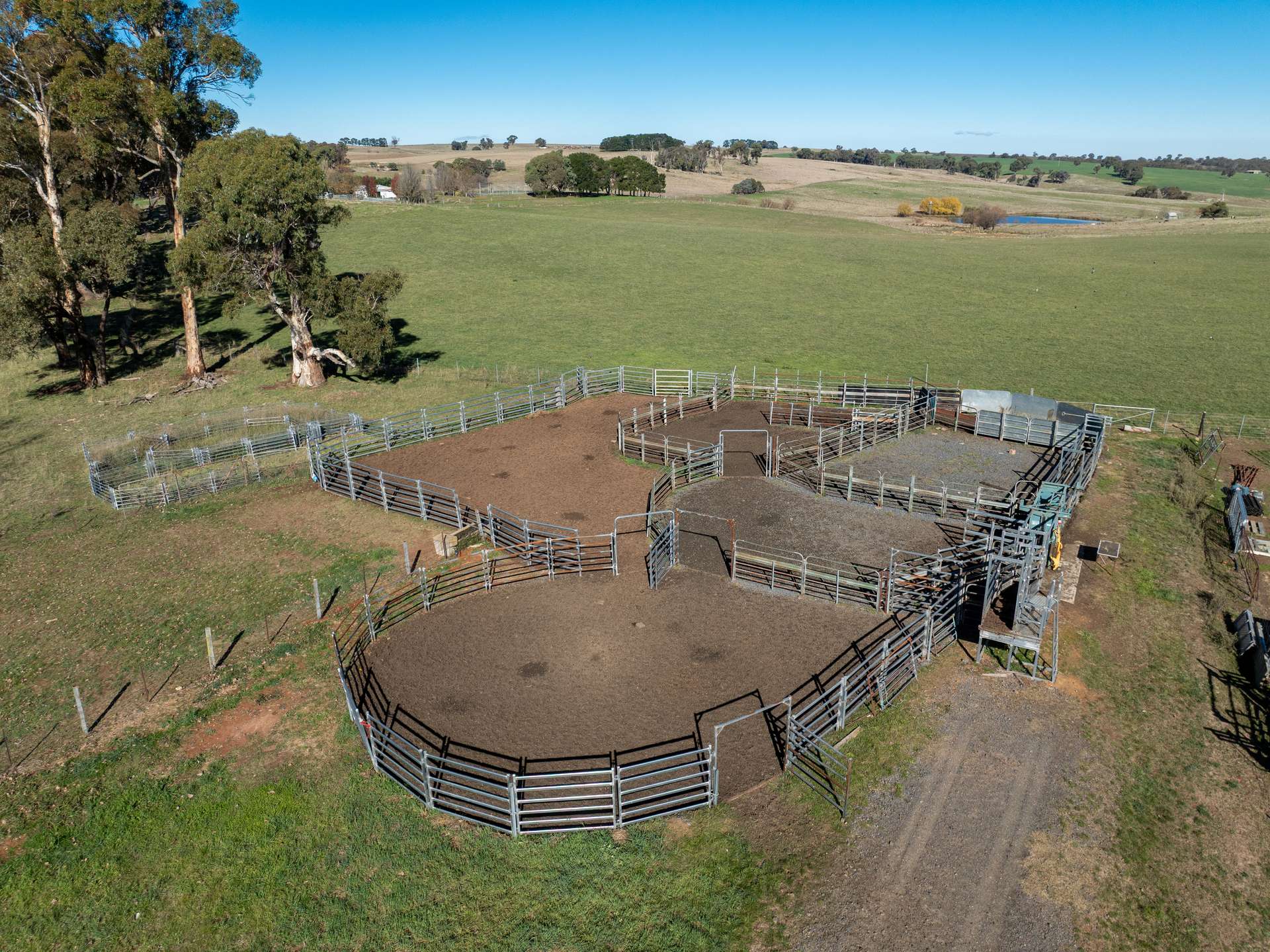'Blairgowrie' 90 Sunset Hills Road, Neville Auction by Farmbuy.com - image 11