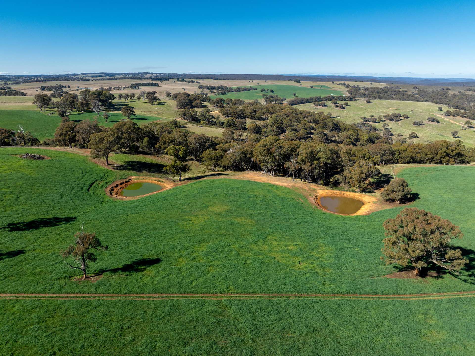 'Blairgowrie' 90 Sunset Hills Road, Neville Auction by Farmbuy.com - image 19