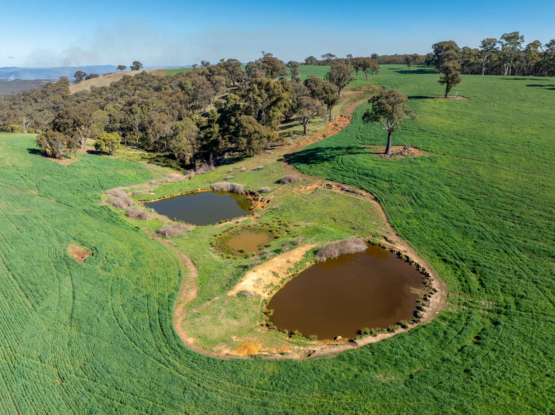 'Blairgowrie' 90 Sunset Hills Road, Neville Auction by Farmbuy.com - image 26