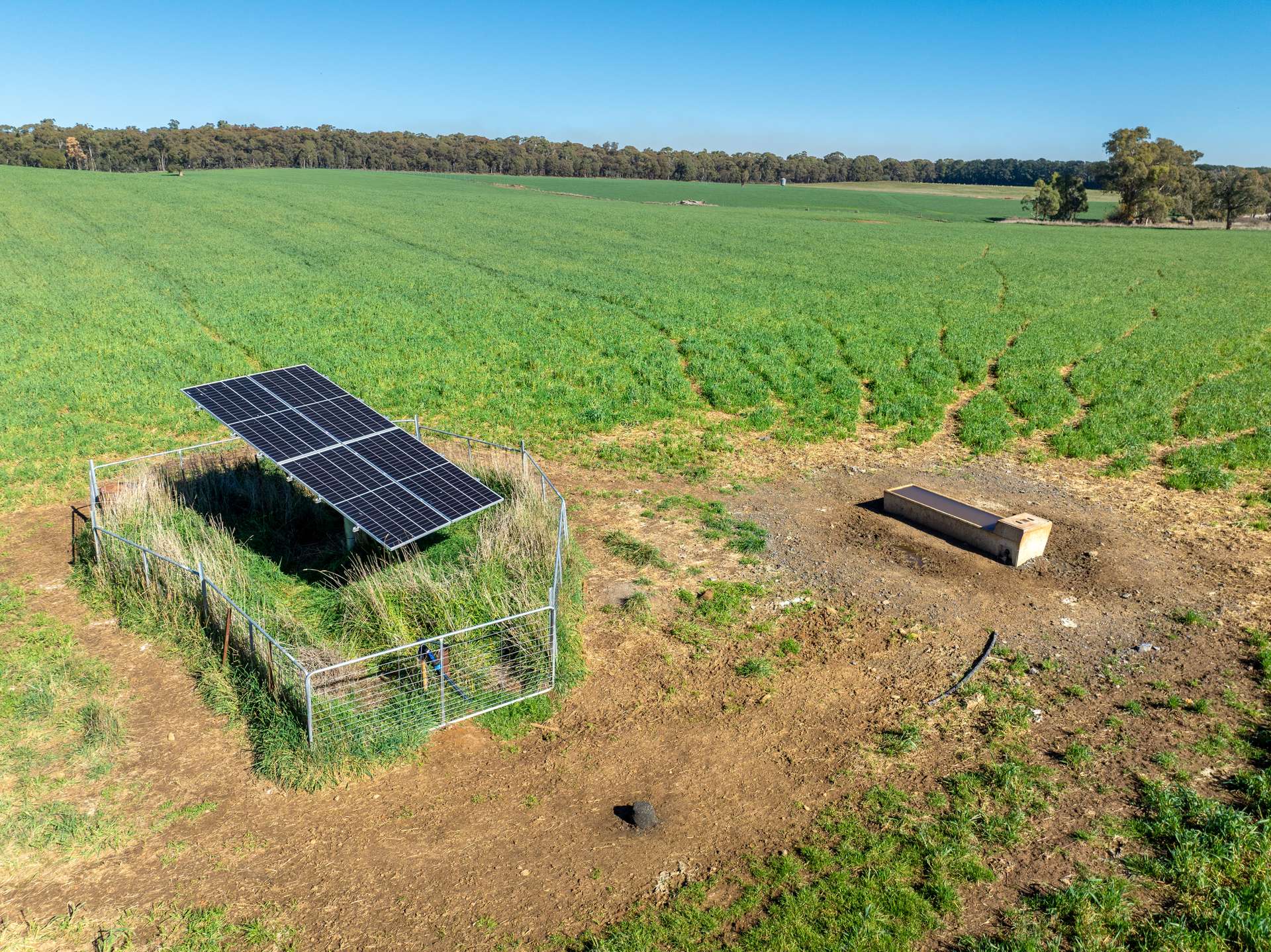 'Blairgowrie' 90 Sunset Hills Road, Neville Auction by Farmbuy.com - image 12