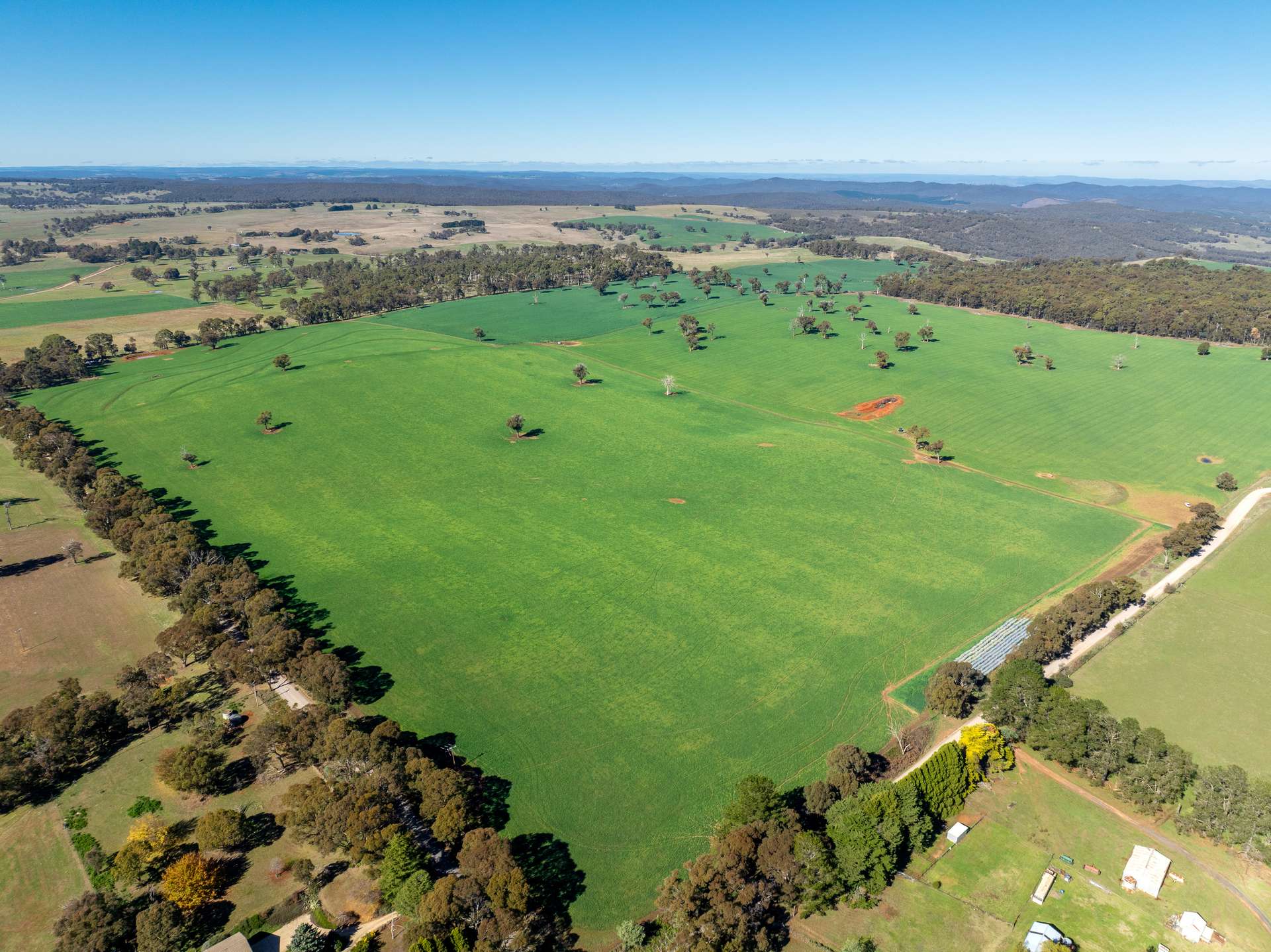 'Blairgowrie' 90 Sunset Hills Road, Neville Auction by Farmbuy.com - image 1