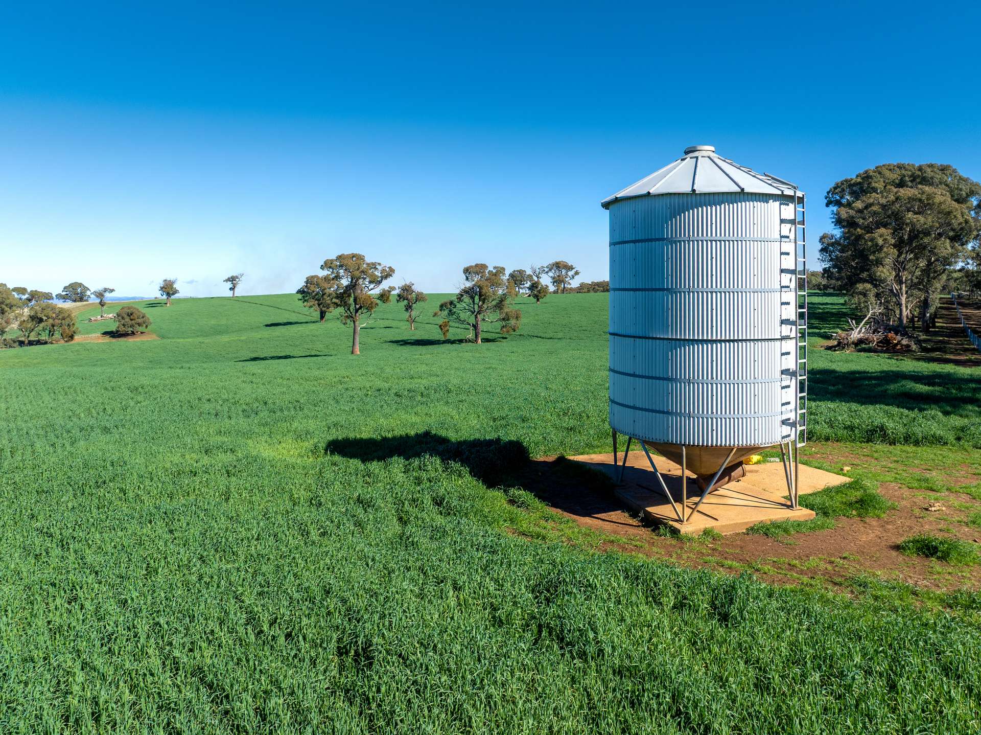 'Blairgowrie' 90 Sunset Hills Road, Neville Auction by Farmbuy.com - image 16