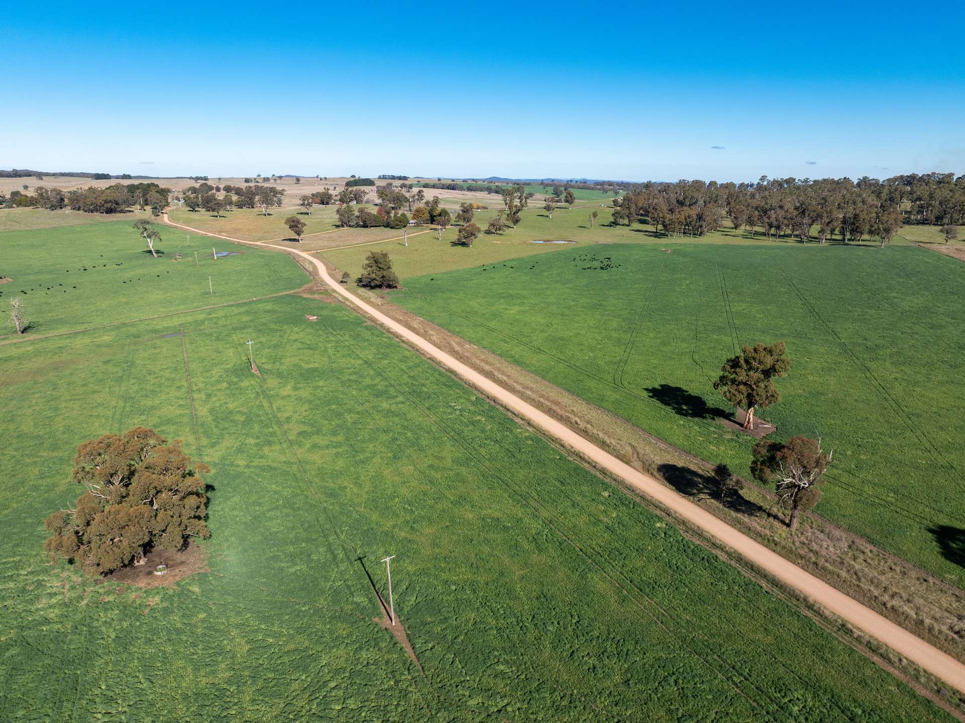 'Blairgowrie' 90 Sunset Hills Road, Neville Auction by Farmbuy.com - image 28