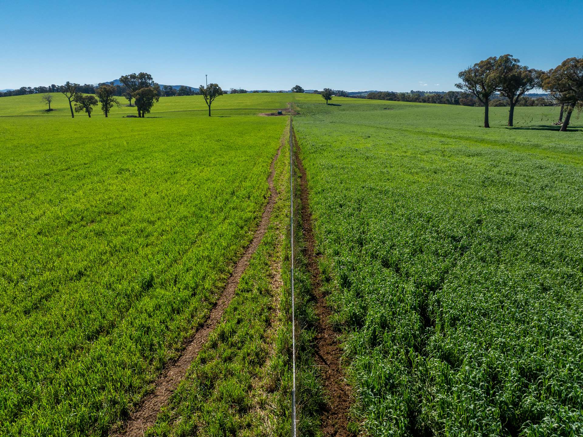 'Blairgowrie' 90 Sunset Hills Road, Neville Auction by Farmbuy.com - image 14