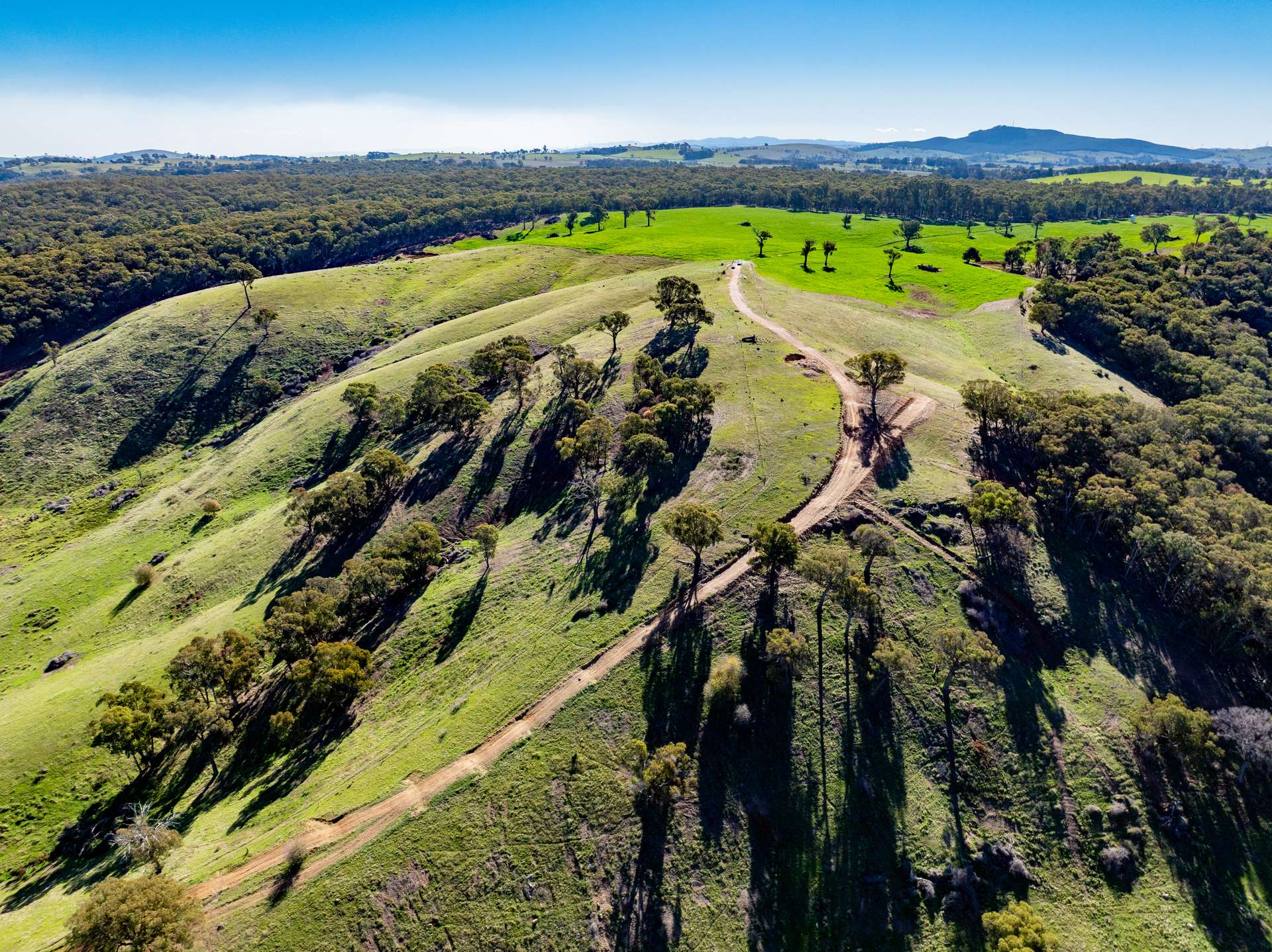 'Blairgowrie' 90 Sunset Hills Road, Neville Auction by Farmbuy.com - image 21