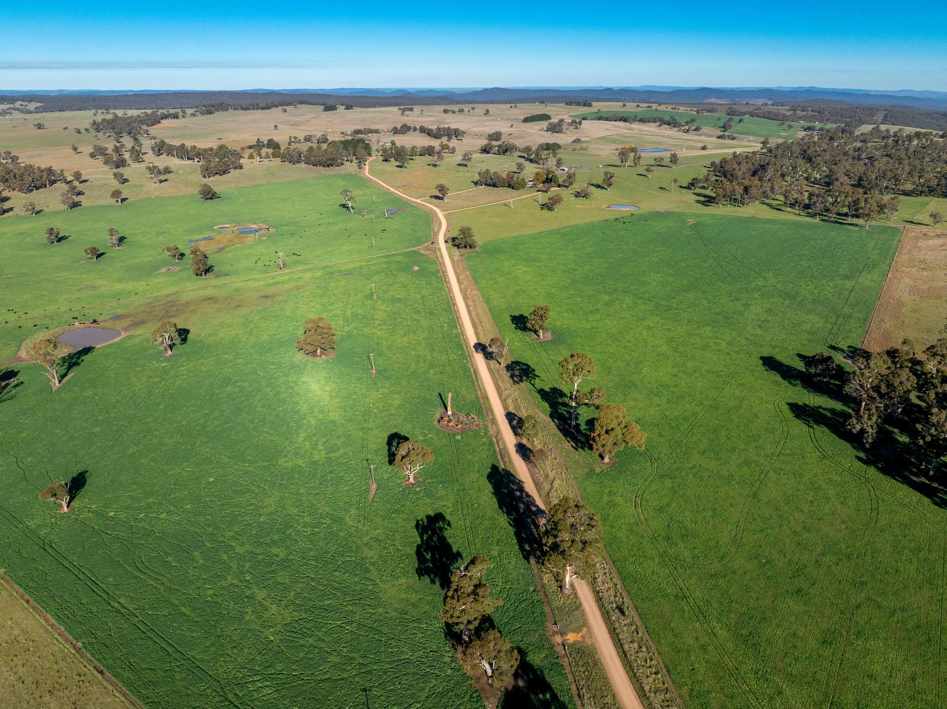 'Blairgowrie' 90 Sunset Hills Road, Neville Auction by Farmbuy.com - image 20