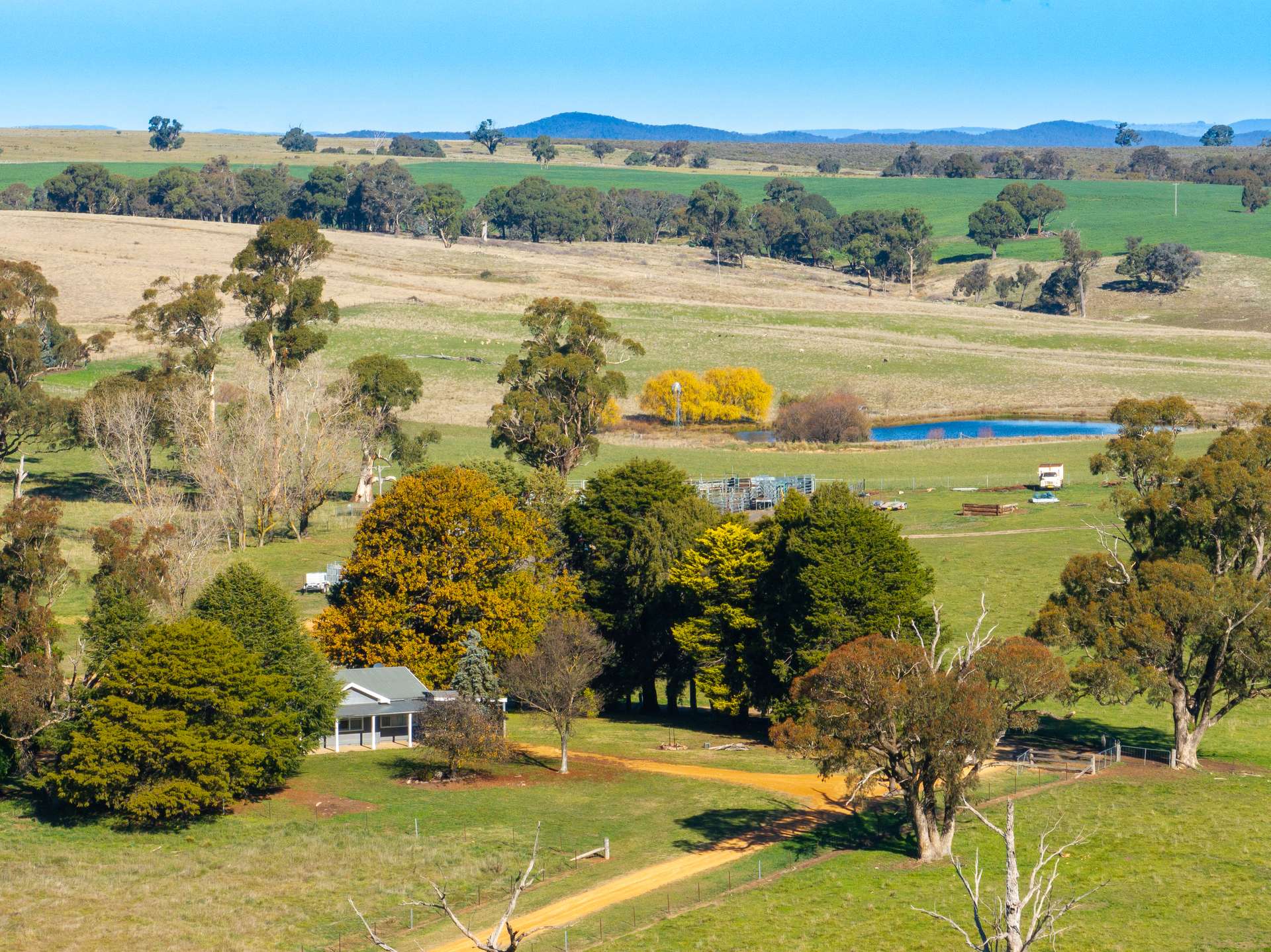 'Blairgowrie' 90 Sunset Hills Road, Neville Auction by Farmbuy.com - image 9