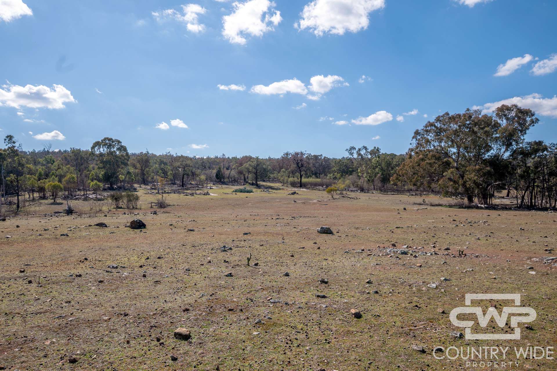 Lot 10 & 12, - Gulf Road, Emmaville For Sale by Farmbuy.com - image 11