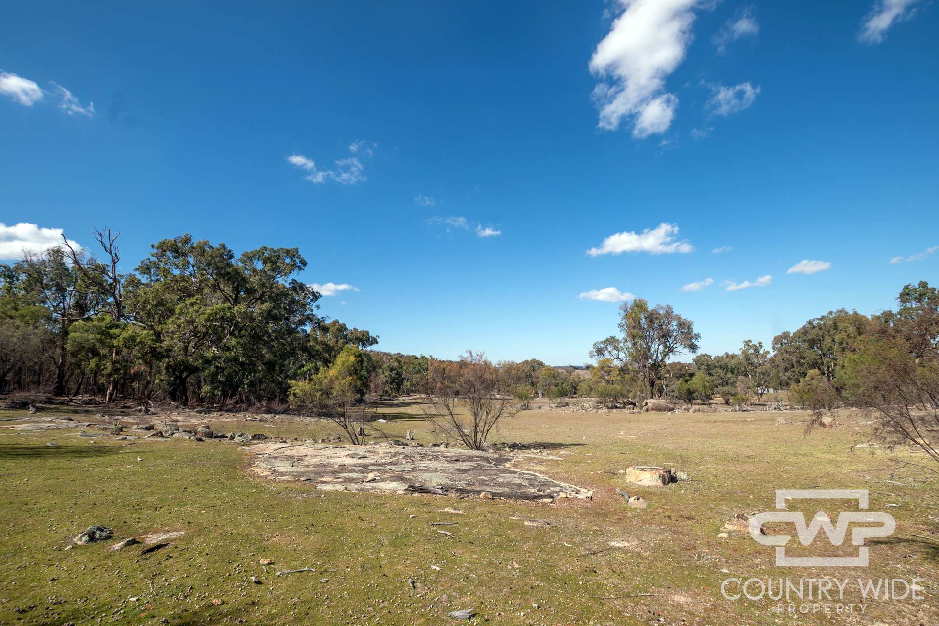 Lot 10 & 12, - Gulf Road, Emmaville For Sale by Farmbuy.com - image 13