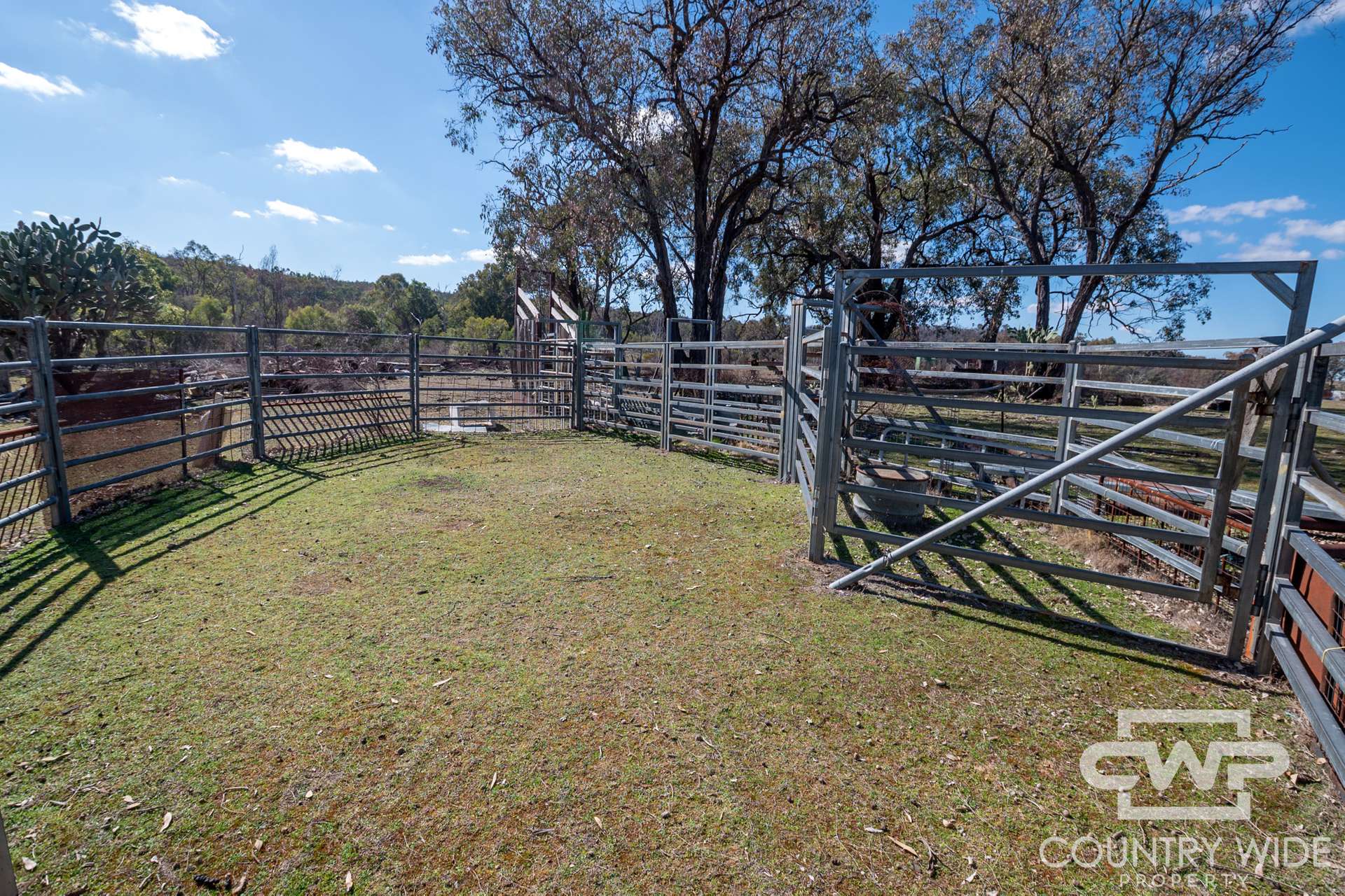 Lot 10 & 12, - Gulf Road, Emmaville For Sale by Farmbuy.com - image 6