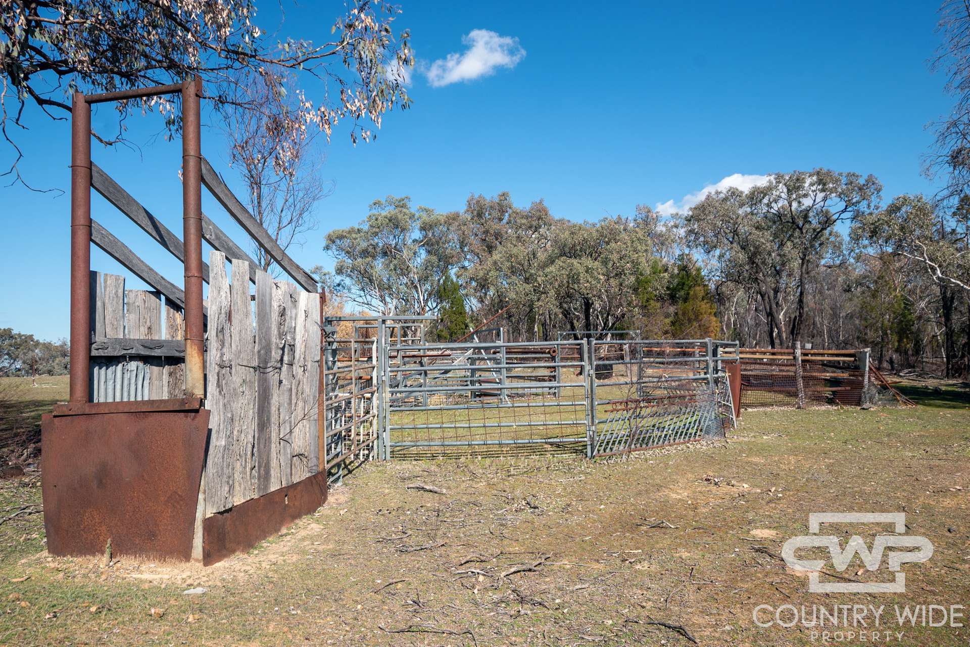 Lot 10 & 12, - Gulf Road, Emmaville For Sale by Farmbuy.com - image 5