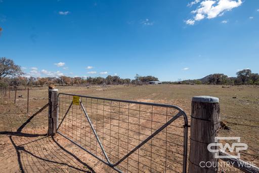 Farm For Sale - NSW - Emmaville - 2371 - 40 Acres with Building Entitlement 
