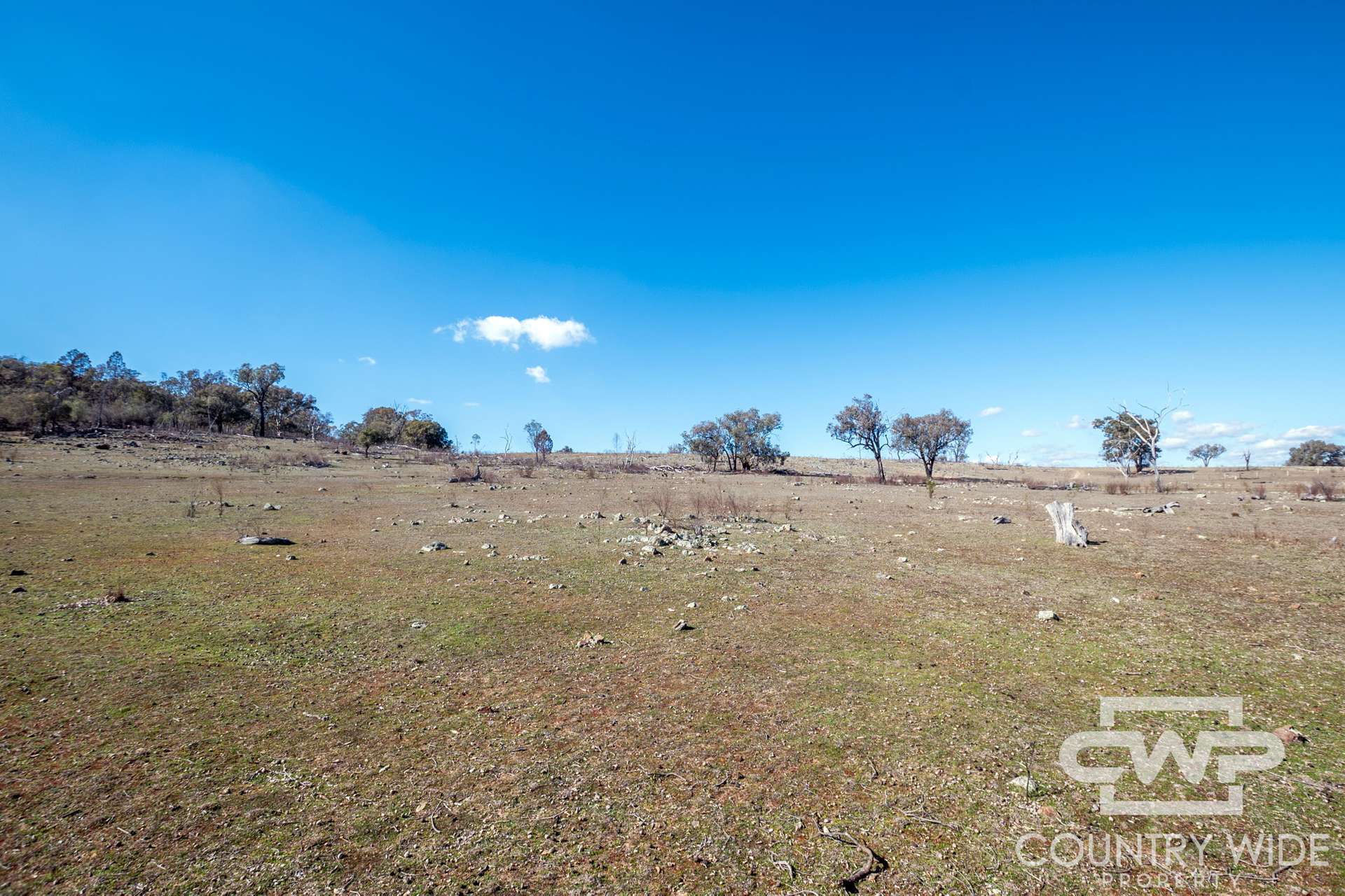 Lot 8 & 9, - Gulf Road, Emmaville For Sale by Farmbuy.com - image 3