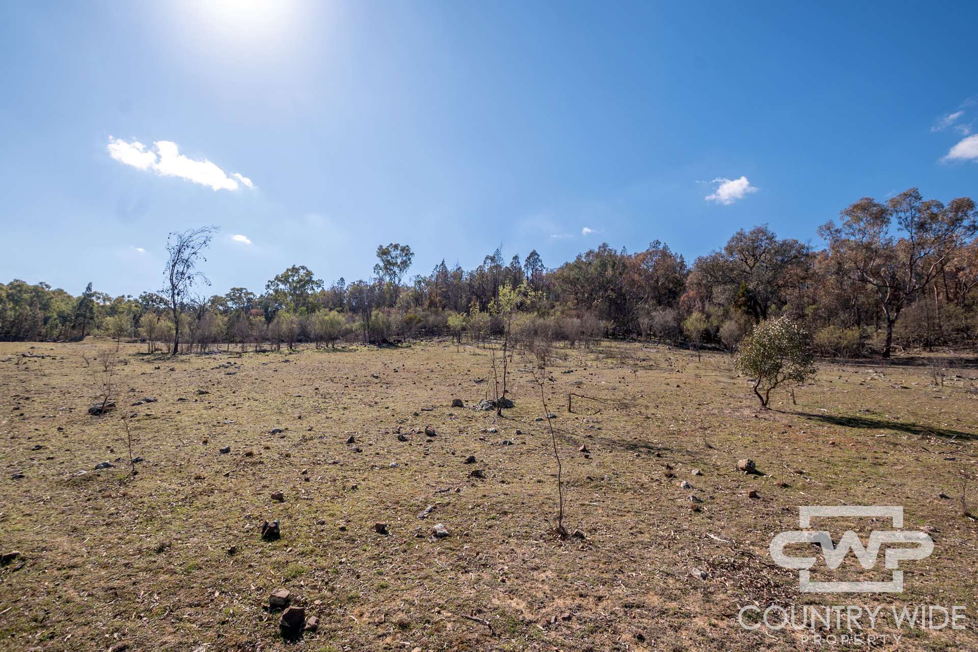 Lot 8 & 9, - Gulf Road, Emmaville For Sale by Farmbuy.com - image 5