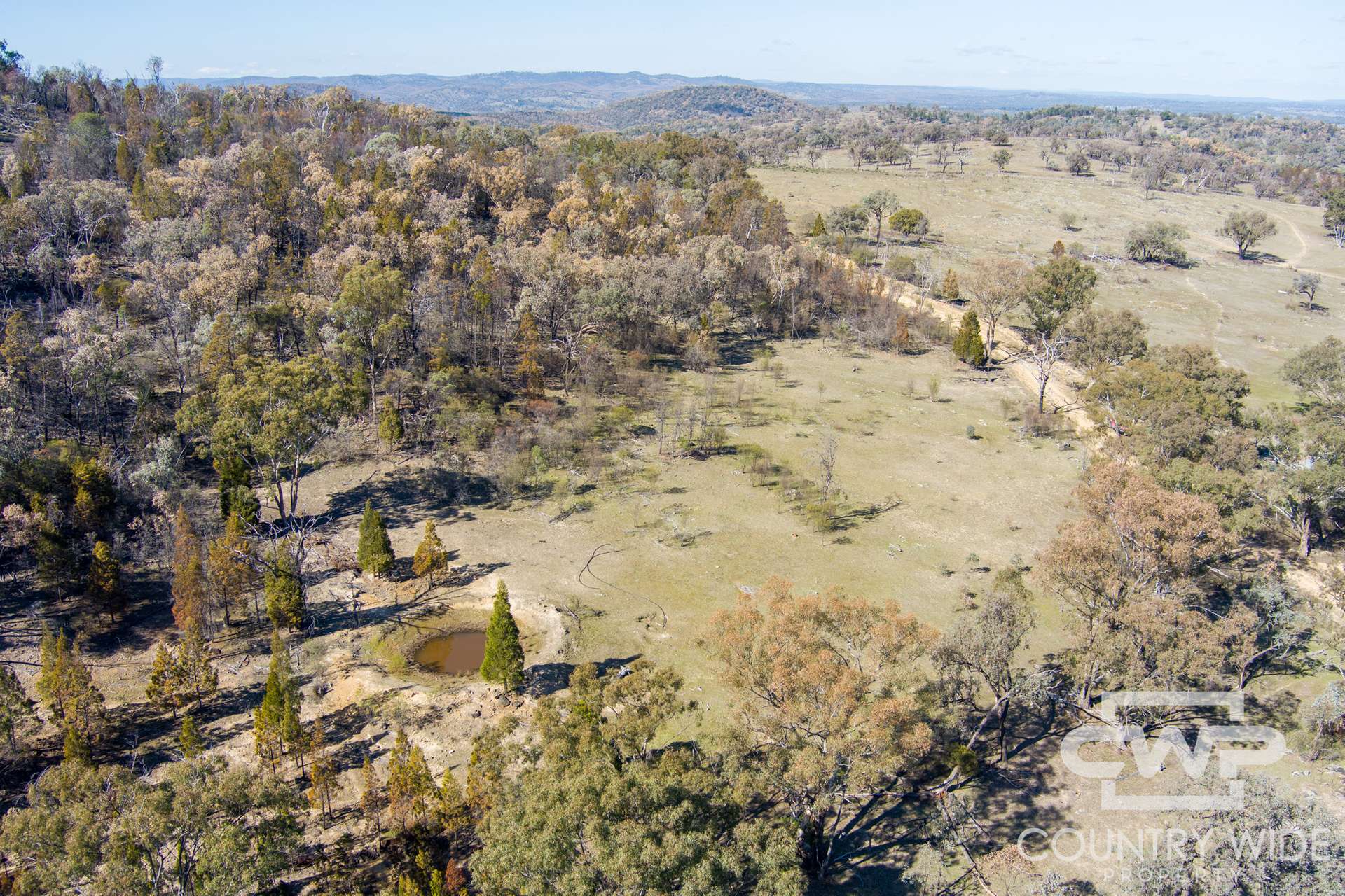 Lot 8 & 9, - Gulf Road, Emmaville For Sale by Farmbuy.com - image 6