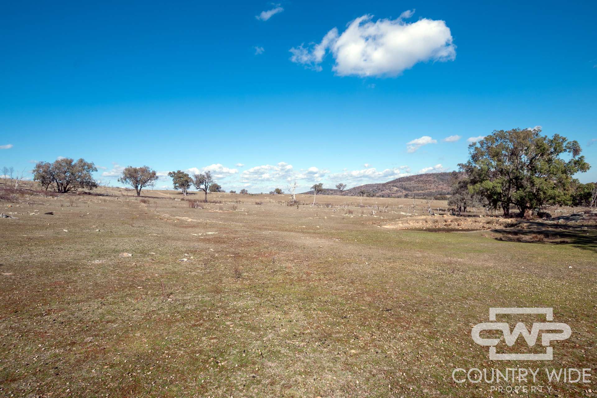 Lot 8 & 9, - Gulf Road, Emmaville For Sale by Farmbuy.com - image 4