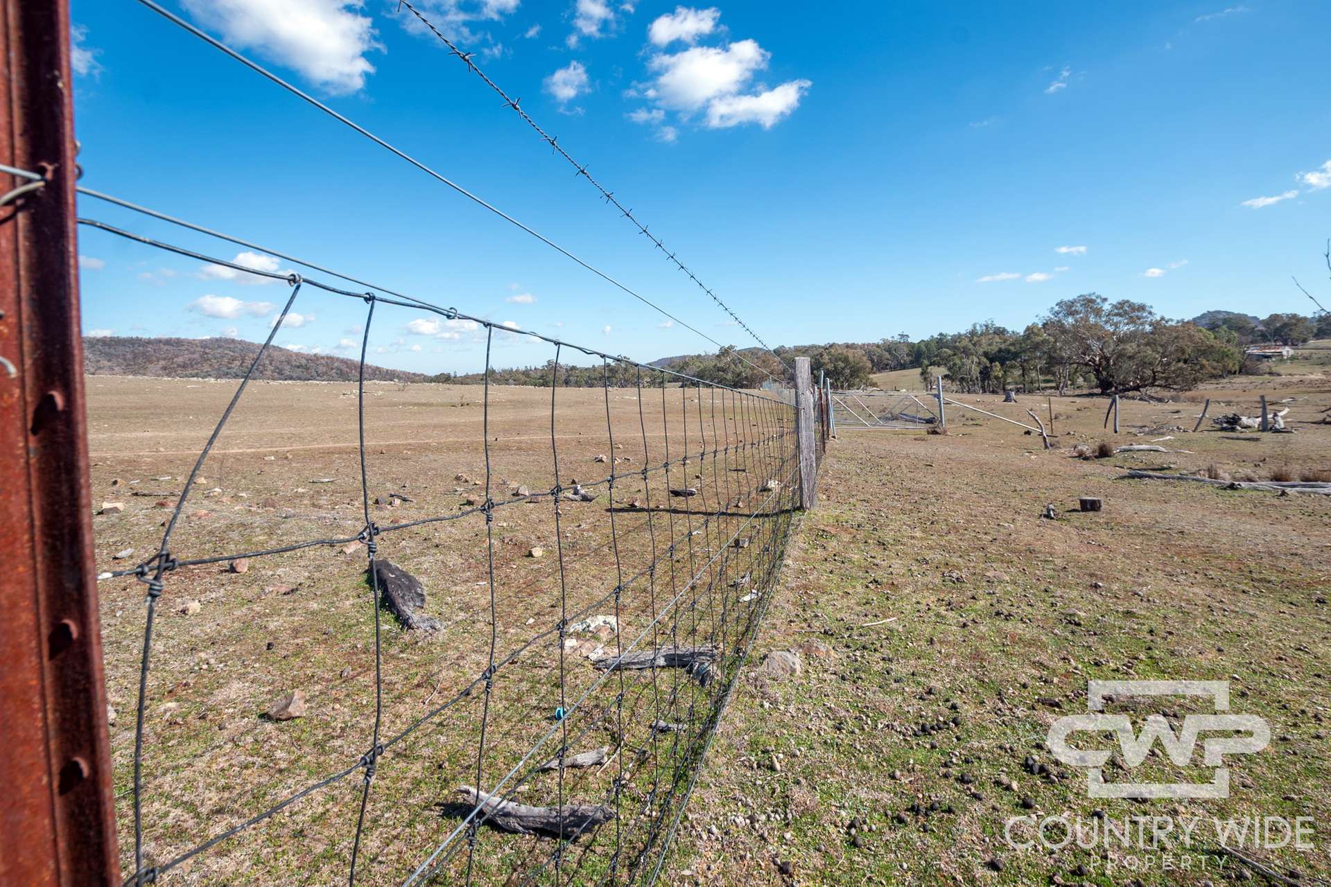 Lot 8 & 9, - Gulf Road, Emmaville For Sale by Farmbuy.com - image 8