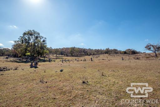 Farm For Sale - NSW - Emmaville - 2371 - Affordable Rural Living with a Building Entitlement 