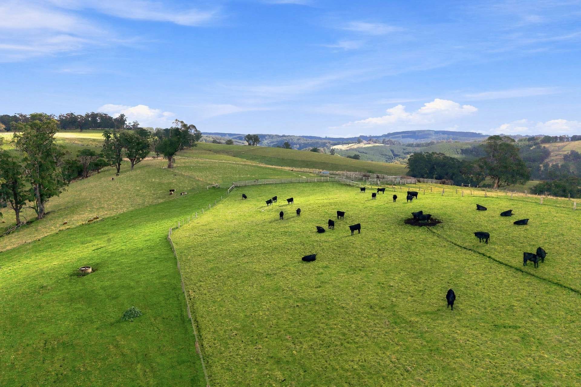 166 Bowdens Road, Won Wron For Sale by Farmbuy.com - image 9