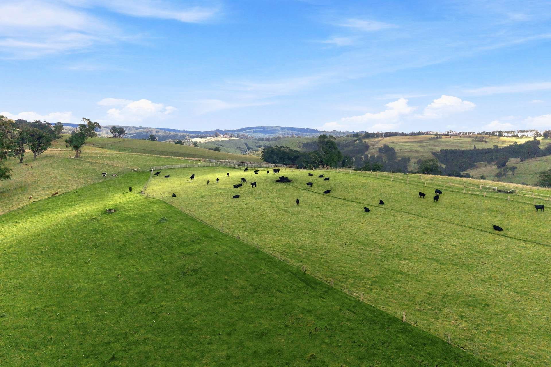 166 Bowdens Road, Won Wron For Sale by Farmbuy.com - image 16