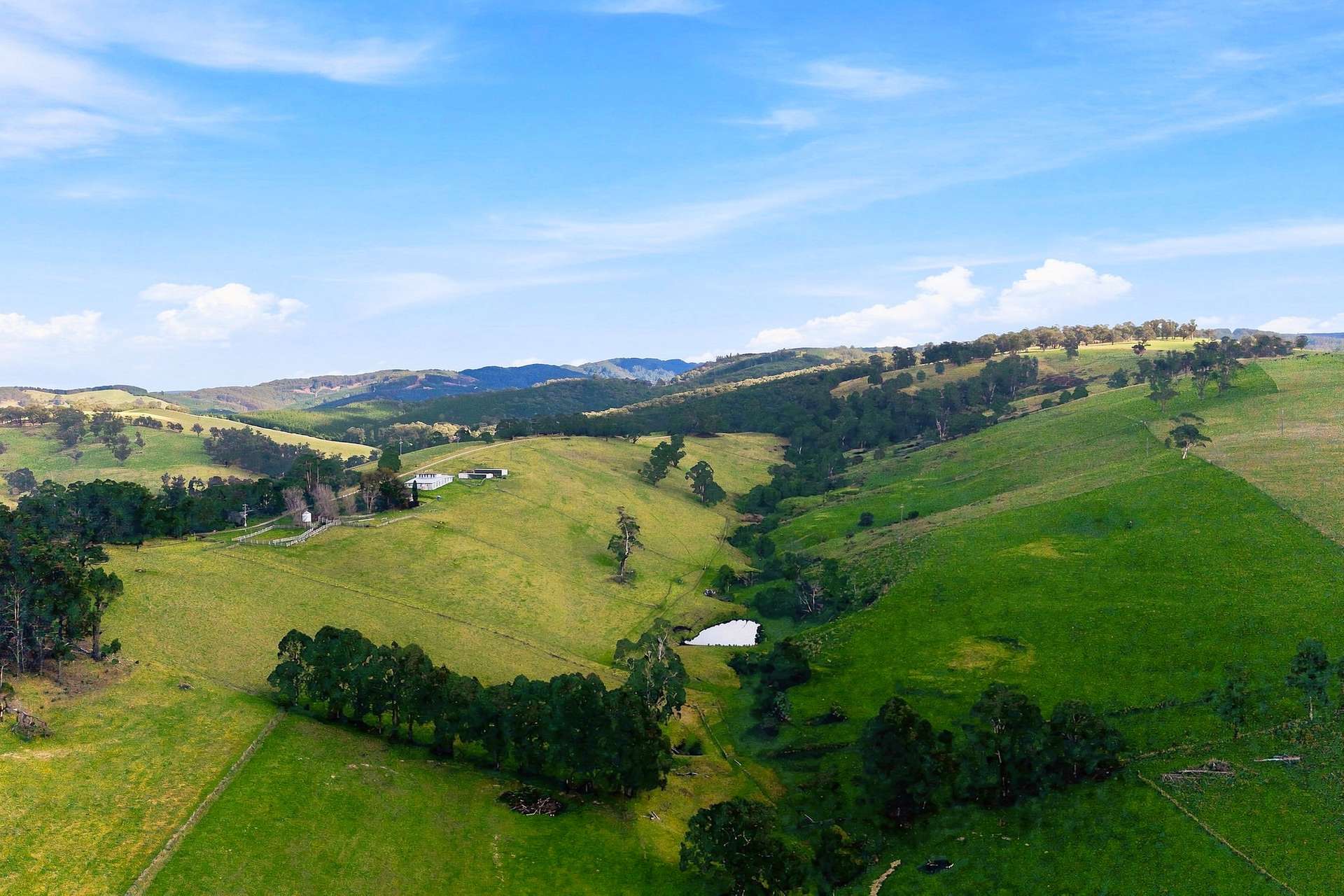 166 Bowdens Road, Won Wron For Sale by Farmbuy.com - image 4