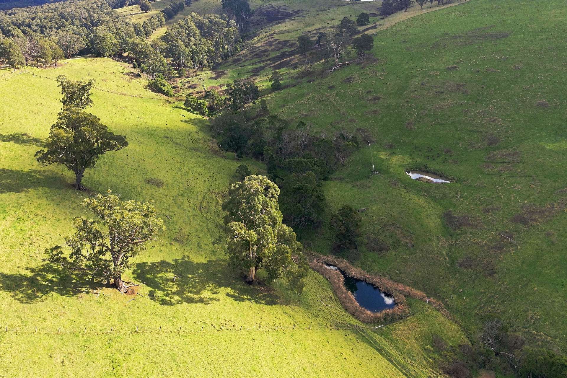 166 Bowdens Road, Won Wron For Sale by Farmbuy.com - image 11